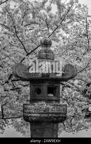 Washington DC – US – 22 marzo 2024 Black and White of the Japanese Lantern, una lanterna di granito nel West Potomac Park, Washington, D.C. si trova accanto Foto Stock