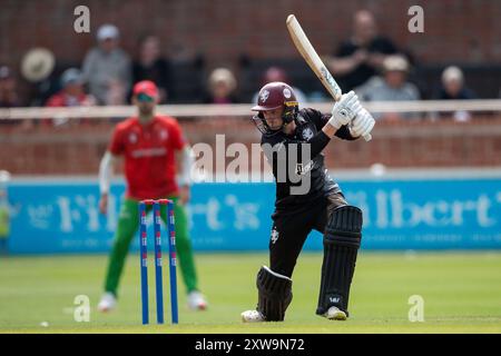 Taunton, Regno Unito. 18 agosto 2024. Lewis Goldsworthy della battuta del Somerset durante la semifinale della Metro Bank One Day Cup tra Somerset e Leicestershire al Cooper Associates County Ground. Crediti: Dave Vokes/Alamy Live News Foto Stock