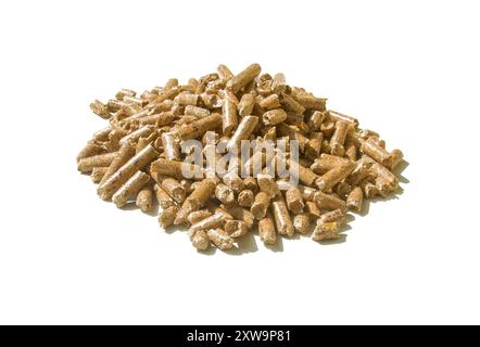 Stufa invernale con caminetto a pellet, eco Foto Stock