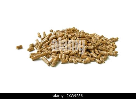 Stufa invernale con caminetto a pellet, eco Foto Stock