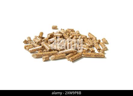 Stufa invernale con caminetto a pellet, eco Foto Stock