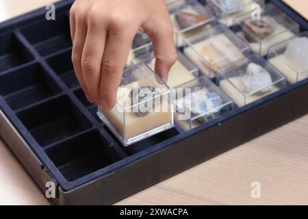 La studentessa studia la raccolta di rocce e minerali. Scuola e apprendimento. Risorse utili. Giovane geologo. Foto Stock