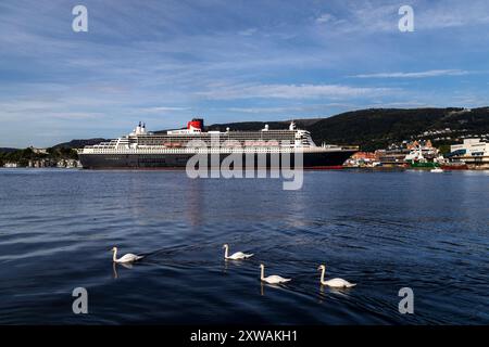 Nave da crociera Queen Mary 2 al molo di Jekteviksterminalen, nel porto di Bergen, Norvegia. Quattro cigni che passano Foto Stock