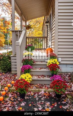 Veranda anteriore decorata per l'autunno con mamme e zucche Foto Stock