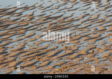 Schema di ondulazione naturale della sabbia con vista ravvicinata a bassa marea Foto Stock