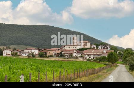 Lizaso è un piccolo villaggio caratteristico nella valle dell'Ulzama o Ultzama (a nord della Navarra, Spagna). È conosciuta principalmente per la vicina foresta di Orgi Foto Stock