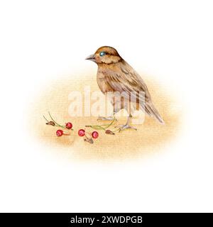 Piccolo uccello giallo con semi e frutti di bosco sullo sfondo astratto. Pittura d'epoca di un animale. Illustrazione ad acquerello disegnata a mano isolata dal retro Foto Stock