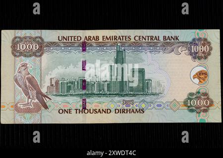 Abu Dhabi, ritratto degli Emirati Arabi Uniti 1000 Dirhams Banknote. Foto Stock