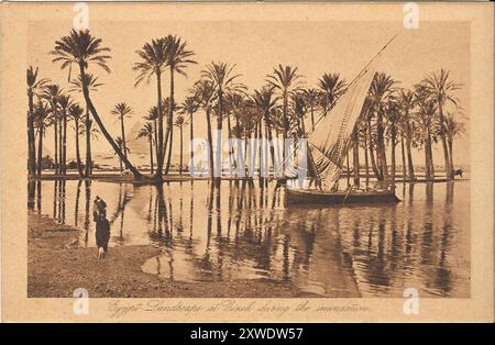 Set di cartoline egiziane degli anni '1900 dalla mia collezione di famiglia Foto Stock