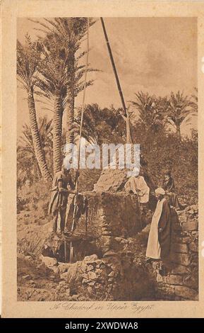 Set di cartoline egiziane degli anni '1900 dalla mia collezione di famiglia Foto Stock