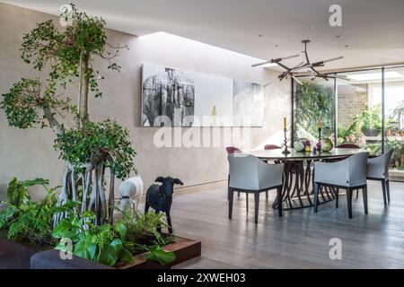 Sala da pranzo con arte moderna e piante d'appartamento in una lussuosa casa britannica moderna. Londra, Regno Unito Foto Stock