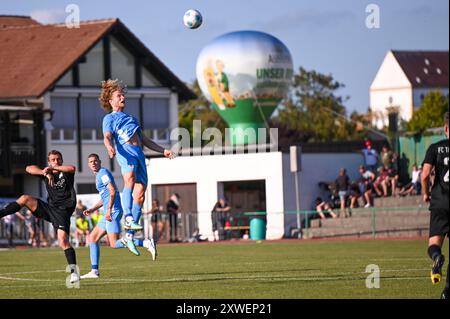 Im Bild Jesper Verlaat (TSV 1860 Muenchen) FC Thalhofen, TSV 1860 Muenchen, Fußball, BFV, Verbandspokal, TSV-Stadion, a Marktoberdorf, foto: Michael Nibel 15 08 24 Copyright: HMB-Media Foto Stock