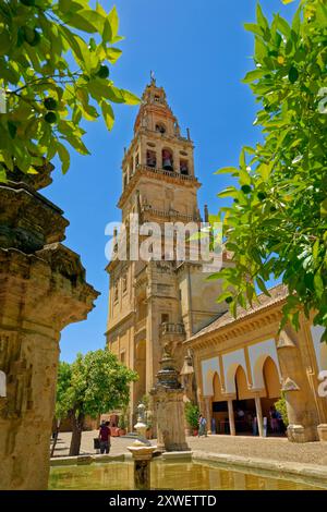 Storico campanile di la Mezquita-Catedral de Córdoba a Cordoba, provincia di Cordoba, Spagna centrale. Foto Stock