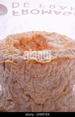 Formaggio Langres con carta da imballaggio originale sullo sfondo. Foto Stock