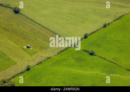 Luftbild, Traktor bei der Feldarbeit auf einer Wiese im Rheinvorland bei Perrich, Büderich, Wesel, Ruhrgebiet, Niederrhein, Nordrhein-Westfalen, Deutschland ACHTUNGxMINDESTHONORARx60xEURO *** Vista aerea, trattore che lavora in un prato della Renania vicino a Perrich, Büderich, Wesel, Ruhr, basso Reno, Renania settentrionale-Vestfalia, Germania ATTENTIONxMINDESTHONORARx60xEURO Foto Stock