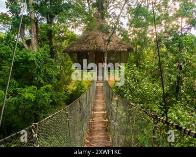 Alloggi glamping nella foresta pluviale Amazzonica. Treehouse in legno, Foresta pluviale Amazzonica, Amazzonia, Pacaya Samiria National Reserve, Perù, Sud America. Foto Stock