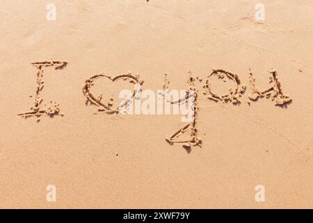 L'iscrizione che ti amo sulla riva del mare con le palme Foto Stock