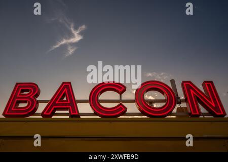 Wimborne St Giles, 16 agosto 2024: We Out Here Festival Foto Stock