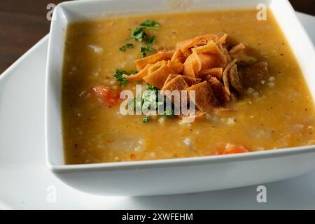 Vista ravvicinata di una ciotola di zuppa di lenticchie. Foto Stock