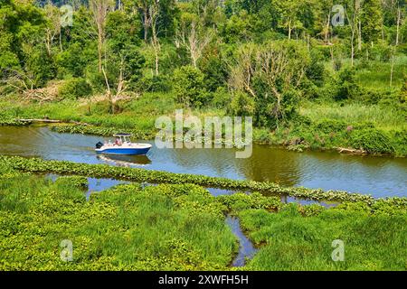 Blue Motorboat sul tranquillo fiume circondato da lussureggiante vegetazione Vista aerea Foto Stock