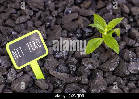 Una pila di carbone da cui sta germogliando una pianta verde e un piatto con la parola Net Zero. Concetto ambientale, zero emissioni. 2050 Foto Stock