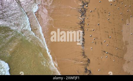 Vista aerea dei gabbiani sulla tranquilla riva del lago Michigan Foto Stock