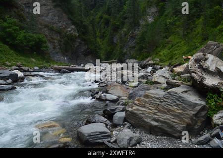 Senti il potere della natura: Un fiume Wild Mountain che scorre attraverso il terreno roccioso. Uno straordinario punto avventura per appassionati di attività all'aperto e fotografi Foto Stock