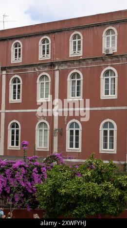 Piante di bouganville in fiore, di fronte all'edificio residenziale, finestra residenziale, Lisbona, Portogallo. Foto Stock