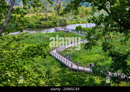 Veduta aerea del lungomare in legno nel lussureggiante Parco del fiume Galien Foto Stock