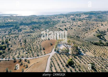 Oliveti nei pressi di fattorie sulle pendici della montagna. Grecia. Drone Foto Stock