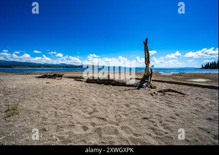 Escursione al parco nazionale di Yellowstone fino a Storm Point con splendide viste sul lago e su varie formazioni rocciose lungo il tragitto Foto Stock