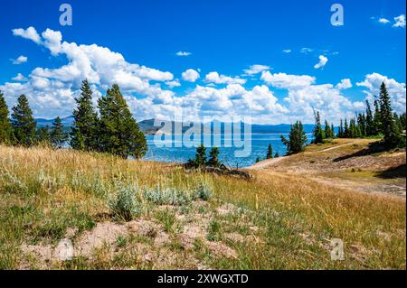 Escursione al parco nazionale di Yellowstone fino a Storm Point con splendide viste sul lago e su varie formazioni rocciose lungo il tragitto Foto Stock