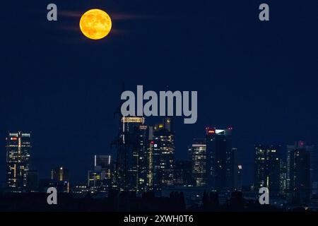Vollmond Der Vollmond zieht über die Frankfurter Bankenskyline hinweg. Francoforte Assia Germania *** Luna piena la luna piena passa sopra lo skyline bancario di Francoforte Francoforte Francoforte Assia Germania 2024-08-19 ffm skyline Vollmond 01 Foto Stock