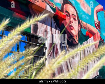 Murale con la imagen de Nathanael Cano creador de los corridos tumbados en una pared del parque la Ruina que se realizó con apoyo de la app de Música Global llamada spotify . Hermosillo Sonora a 26 settembre 2023 ( foto por Norte Photo/Luis Gutiérrez) Foto Stock