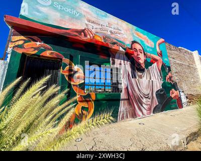 Murale con la imagen de Nathanael Cano creador de los corridos tumbados en una pared del parque la Ruina que se realizó con apoyo de la app de Música Global llamada spotify . Hermosillo Sonora a 26 settembre 2023 ( foto por Norte Photo/Luis Gutiérrez) Foto Stock