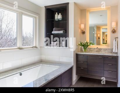 Bagno contemporaneo con lavandino in legno scuro e vasca Foto Stock