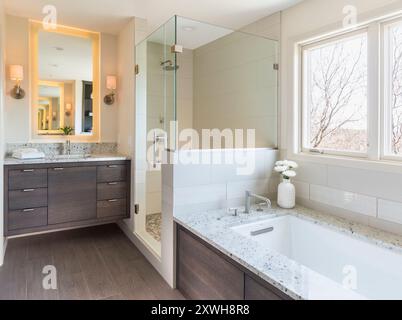 Bagno contemporaneo con cabina doccia, lavandino in legno scuro e vasca Foto Stock