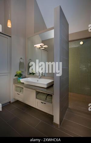 Moderno bagno verde e beige con parete divisoria tra lavandino e cabina doccia Foto Stock