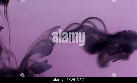 Goccia d'inchiostro. Smog galleggiante. Sfondo artistico astratto sott'acqua con miscela di coloranti acrilici neri e viola sfocati. Foto Stock