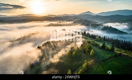 Vista aerea dell'alba mozzafiato su un paesaggio nebbioso con colline ondulate e campi verdeggianti. La luce soffusa penetra nella nebbia, proiettando ombre lunghe e illuminando gli alberi, creando una scena magica. Foto Stock