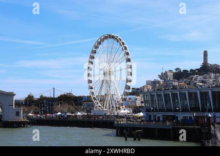 19.08.2024, AMERIKA, Stati Uniti, Unterwegs in Amerika, Symbolbild, Themenbild, Verschiedene Themenbilder, Reise, Reiseimpressionen, Reisefeatures, Vereinigte Staaten von Amerika, Reisefeature, im Bild SkyStar Wheel, Sky Star Wheel, Riesenrad, Pier, Fisherman's Wharf, Fishermans Wharf, San Francisco, Stati Uniti d'AMERICA, Amerika, *** 19 08 2024, AMERICA, USA, on the Road in America, immagine simbolo, immagine tema, varie immagini a tema, viaggio, impressioni di viaggio, caratteristiche di viaggio, Stati Uniti d'America, caratteristiche di viaggio, in foto SkyStar Wheel, Sky Star Wheel, ruota panoramica, molo, Fisherman's Wharf, Fisherman Whar Foto Stock