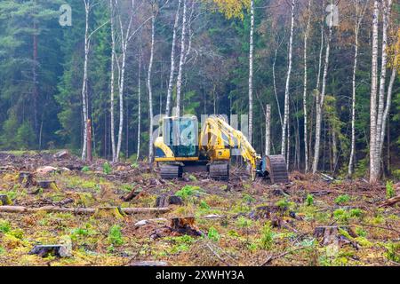 Escavatore su un taglio netto dal bordo della foresta Foto Stock