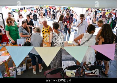Non esclusiva: LEOPOLI, UCRAINA - 18 AGOSTO 2024 - le persone hanno scambiato quasi 5.000 libri durante l'evento di Piazza del Libro organizzato dalla Libr Municipale di Leopoli Foto Stock