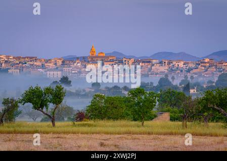 Villaggio di Montuiri e campi coltivati vicino al villaggio, in un'alba primaverile (Maiorca, Isole Baleari, Spagna) ESP: Pueblo de Montuiri y campos Foto Stock