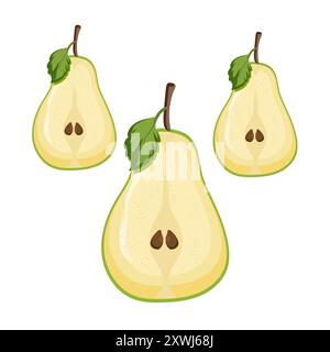 Set di tre frutti di pera verde su sfondo bianco su sfondo isolato, frutti sani di pera dolce Illustrazione Vettoriale