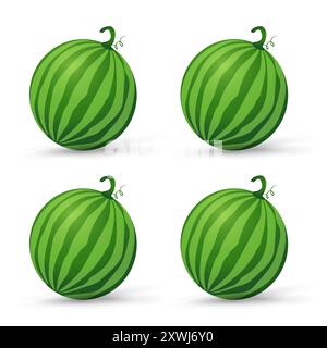 Gruppi di anguria fresca frutta biologica, illustrazione vettoriale di anguria biologica verde con design piatto isolato su sfondo bianco Illustrazione Vettoriale
