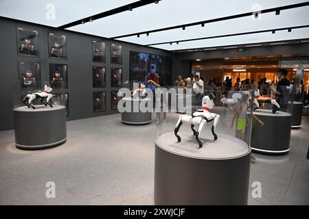 NANCHINO, CINA - 20 AGOSTO 2024 - la gente guarda BabyAlpha, il cane robot di sesta generazione, in Piazza Deji a Nanchino, nella provincia di Jiangsu nella Cina orientale, agosto Foto Stock