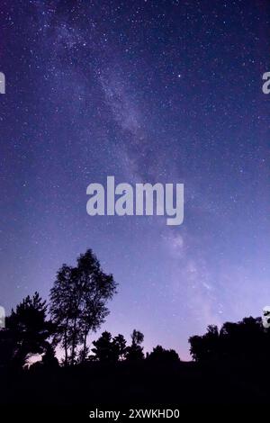 La galassia della via Lattea che si innalza sopra Iping Common nel South Downs National Park Foto Stock