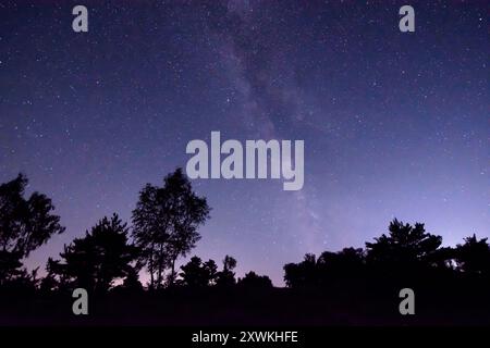 La galassia della via Lattea che si innalza sopra Iping Common nel South Downs National Park Foto Stock