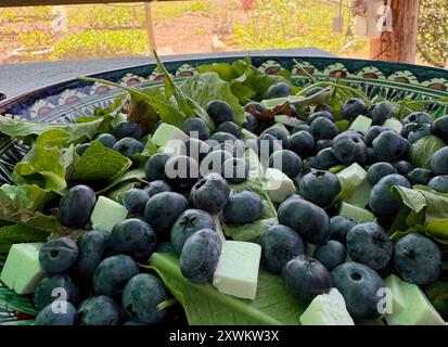 Insalata estiva con verdure, formaggio, senape francese e mirtilli. Primo piano. Foto Stock